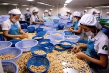 Chuyên gia quốc tế lạc quan về kinh tế Việt Nam 2013